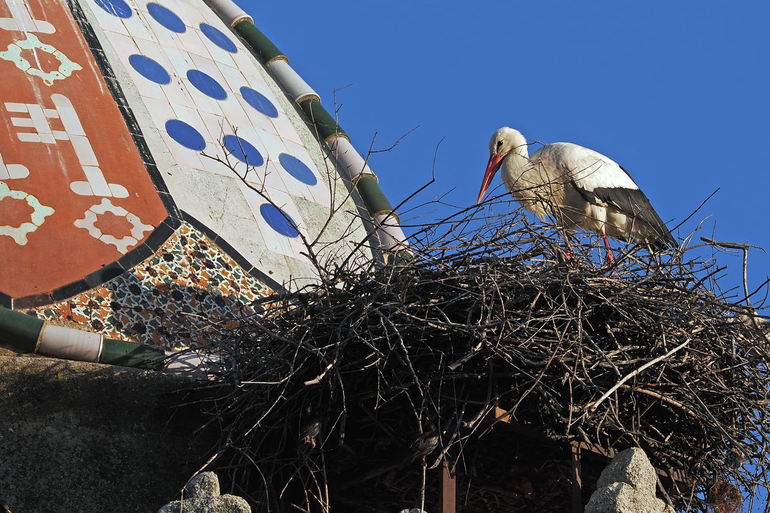 V1000039 kopia1ared1500