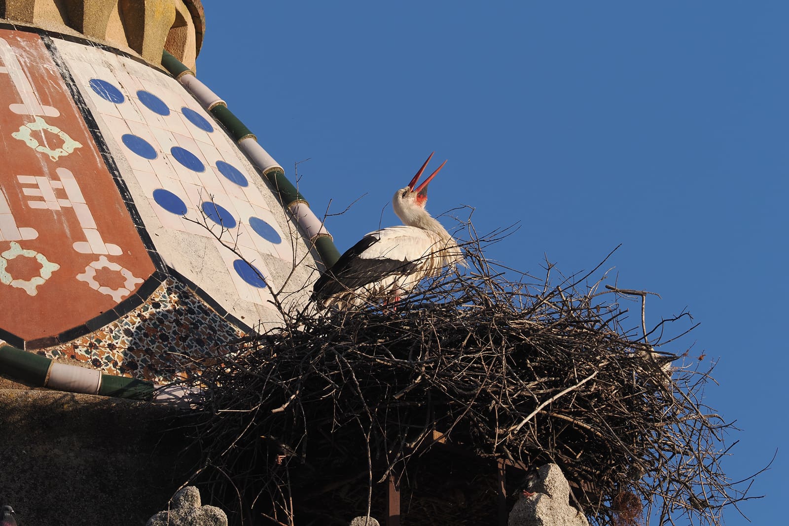 V1000051 kopia1ared1600